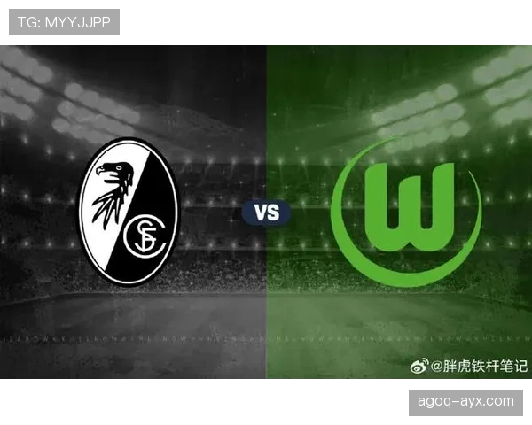 弗赖堡新赛季阵容焕然一新，状态回升剑指更高排名