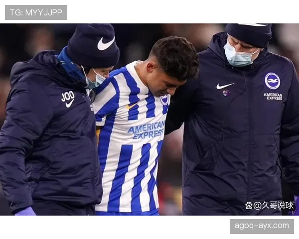 英超球队伤情更新：多名主力球员进入康复阶段